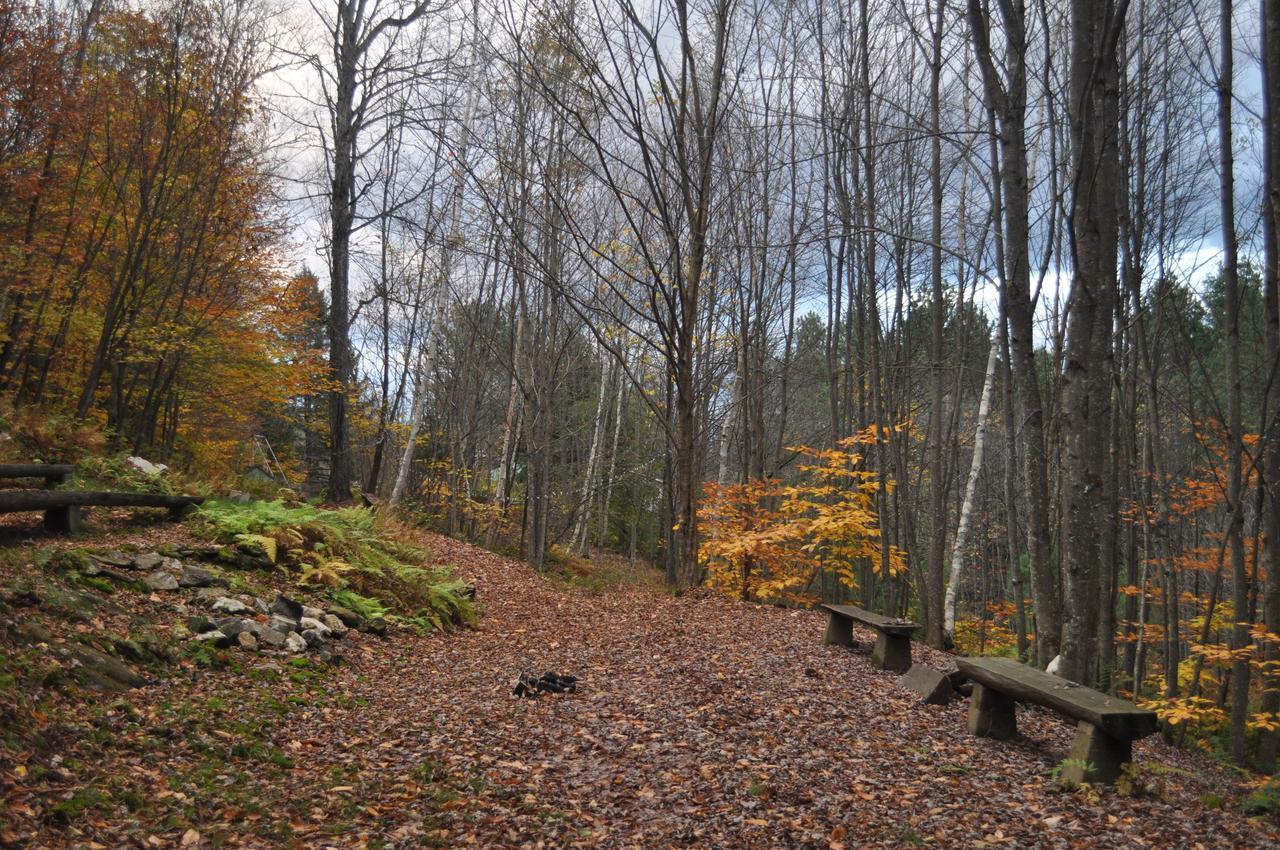 The Woods Lodge Northfield Εξωτερικό φωτογραφία